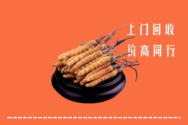 高价求购：牧野区回收散虫草