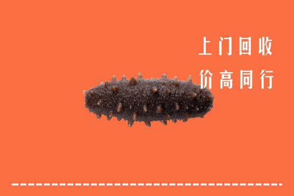高价求购：牧野区回收海参